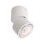 LED Spotlight-44568914