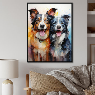 " Border Collie Brilliance II "
