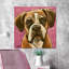 Boxer Cam 1 Piece Wrapped Canvas Painting-1452330284