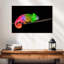 Brampt Rainbow Chameleon-108694266