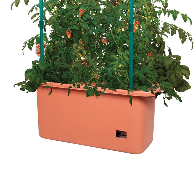 Goldwin 13.8'' H x 29.9'' W Plastic Lattice Panel Trellis