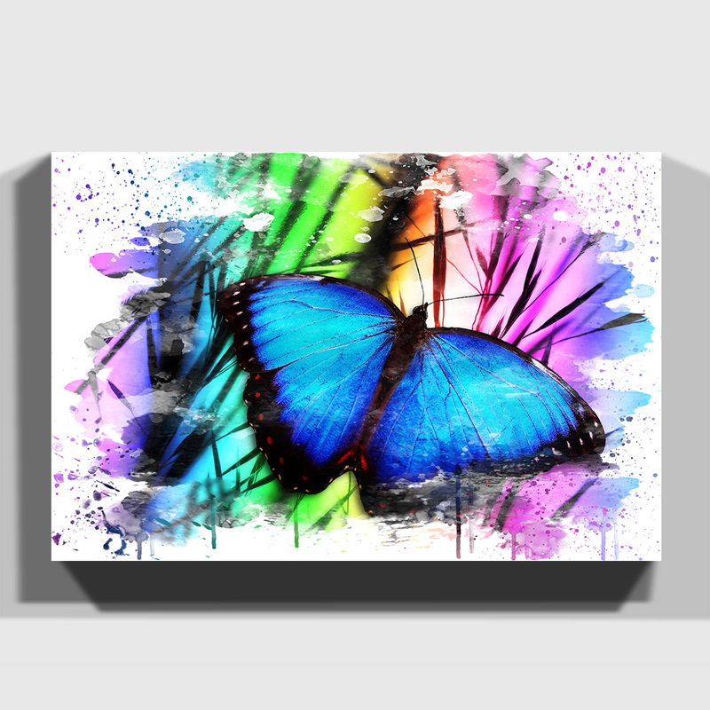 Butterfly - Wall Art, 50cm H x 76cm W, Wrapped Canvas