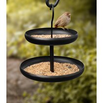 Evergreen Enterprises, Inc Mangeoire solaire solaire pour oiseaux Cardinal  - Wayfair Canada