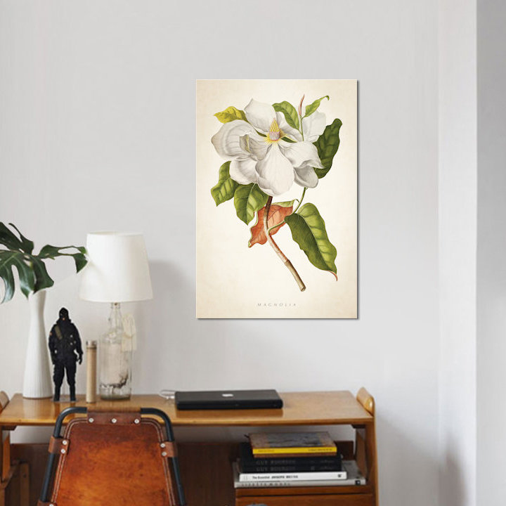 « magnolia botanique print i », impression sur toile, H 26 po x l 18 po x P 1,5 po, Toile tendue, Pas de tapis