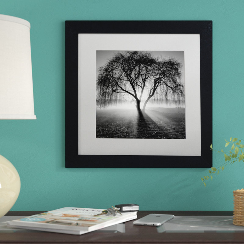 «Lightning Tree I», reproduction de photo encadrée, H 16 po x l 16 po x P 0,5 po, Cadre noir