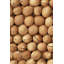 Murale Coconuts