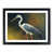 Black Framed selected