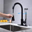 Robinet de cuisine avec douchette extractible-121209971