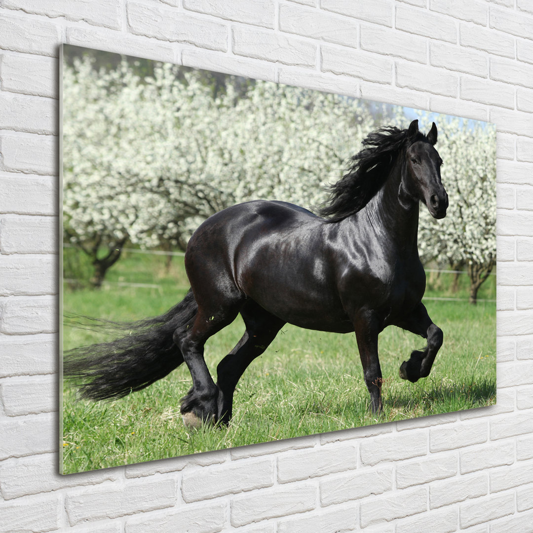 Glasbild Black Horse Blumen