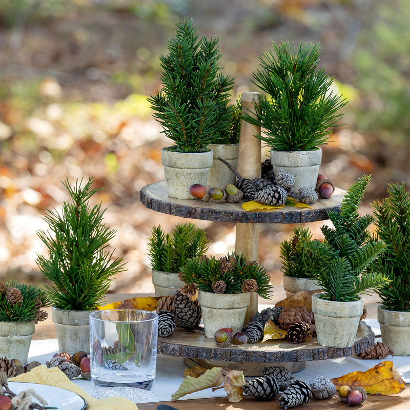 Woodland Tiered Stand