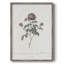 Impression florale vintage encadrée CXLVI - bois massif-1884940393