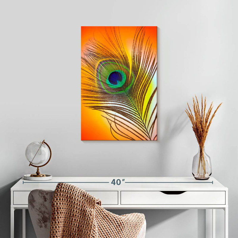 Plume de paon Kerner Glamour, H 24 po x l 16 po