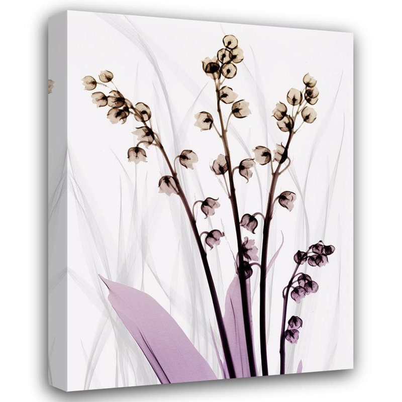 «Red Barrel Studio® Koetsier, Albert Gallery, art sur toile tendue: Radiant Snowdrops 3 AK8-RC-588C, H 18 po x l 15 po