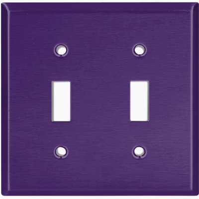 2 - Gang Toggle Light Switch Standard Wall Plate