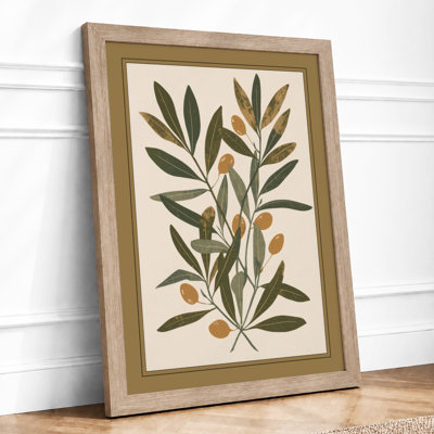 Study Plant Botanical - Framed Print