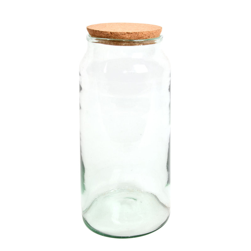 Half Open Terrarium Bottle, 41.3 cm H x 18.5 cm W x 18.5 cm D