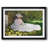 " Monet "-55110756-55110757