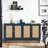 Rattan Door Storage Cabinet With Adjustable Shelves