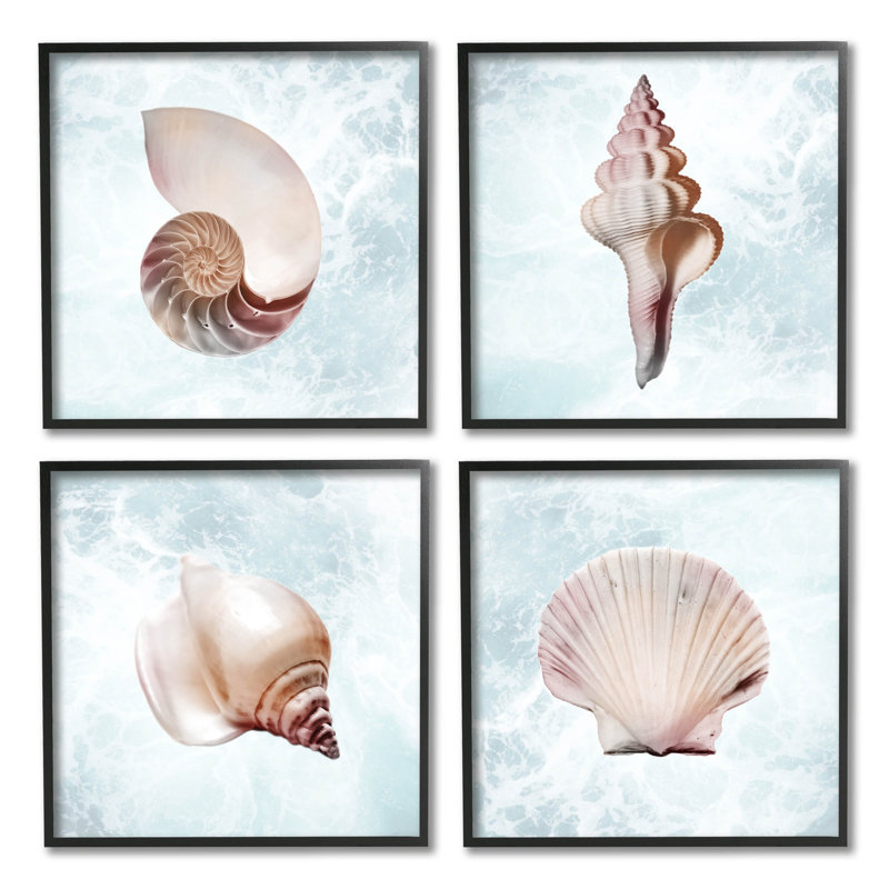 «Under Life Sea Life Shells», ensemble de 4 giclées par Marcus Prime, Giclée encadrée noir minuit