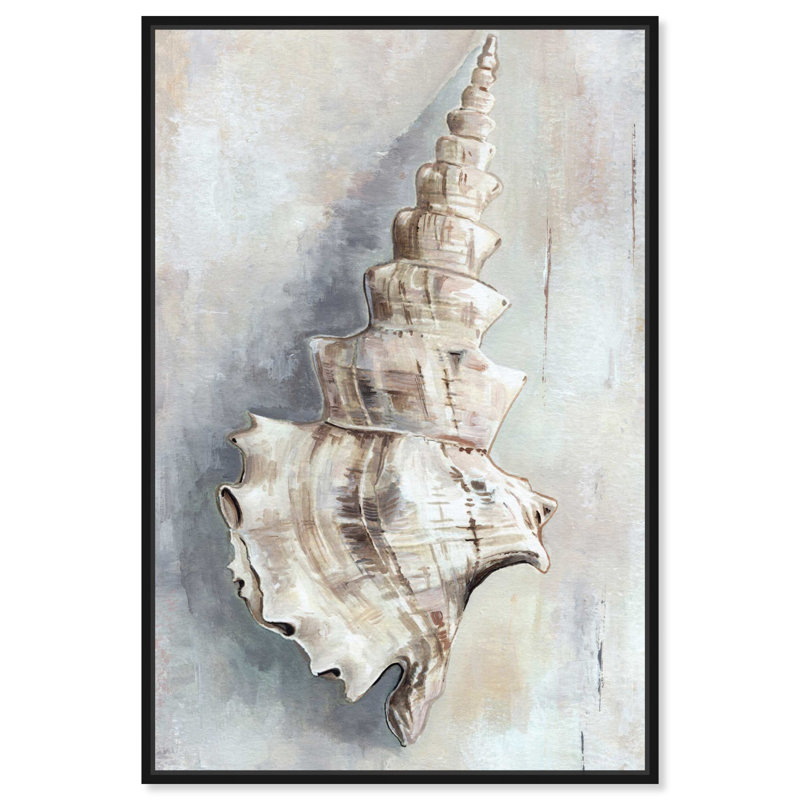 Charmant coquillage sur toile, impression côtière tendance par , H 31 po x l 21 po, Cadre flottant noir