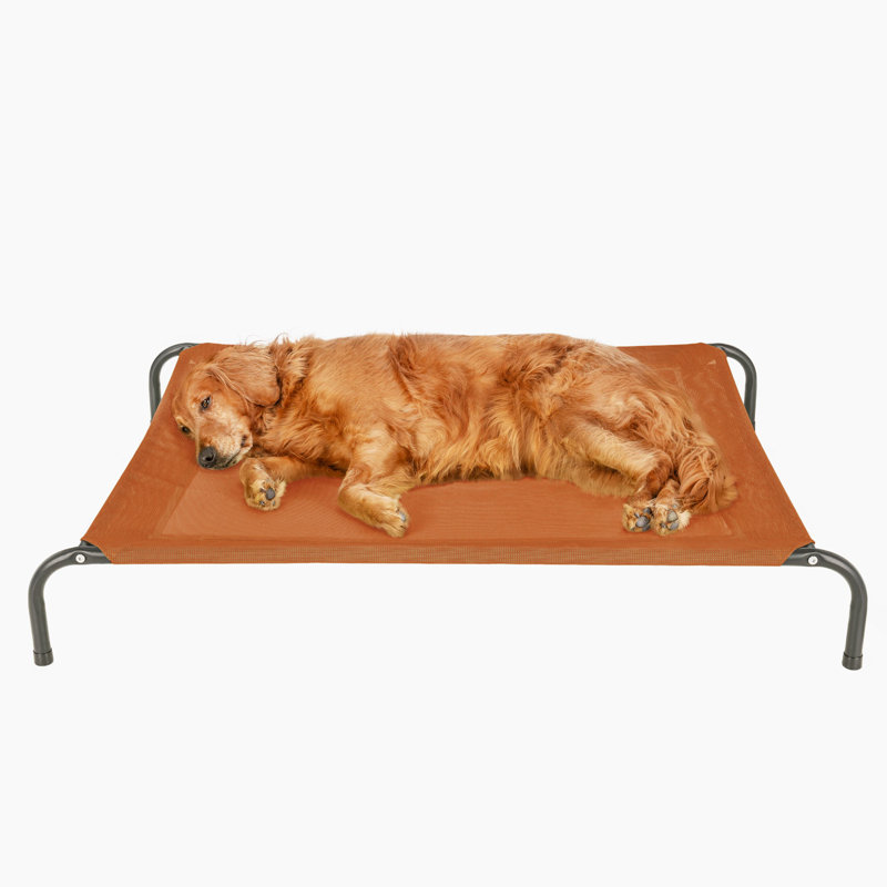 Elevated Cot Pet Bed, Red, 8" H x 36" W x 49.5" D