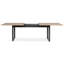 Alduina Extendable Dining Table-230812692