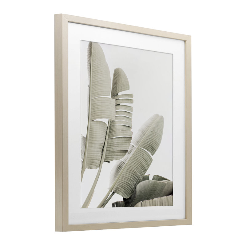«Fanning Banana Leaves», reproduction encadrée sous verre, conception de Sissi et Seb, H 16 po x l 13 po