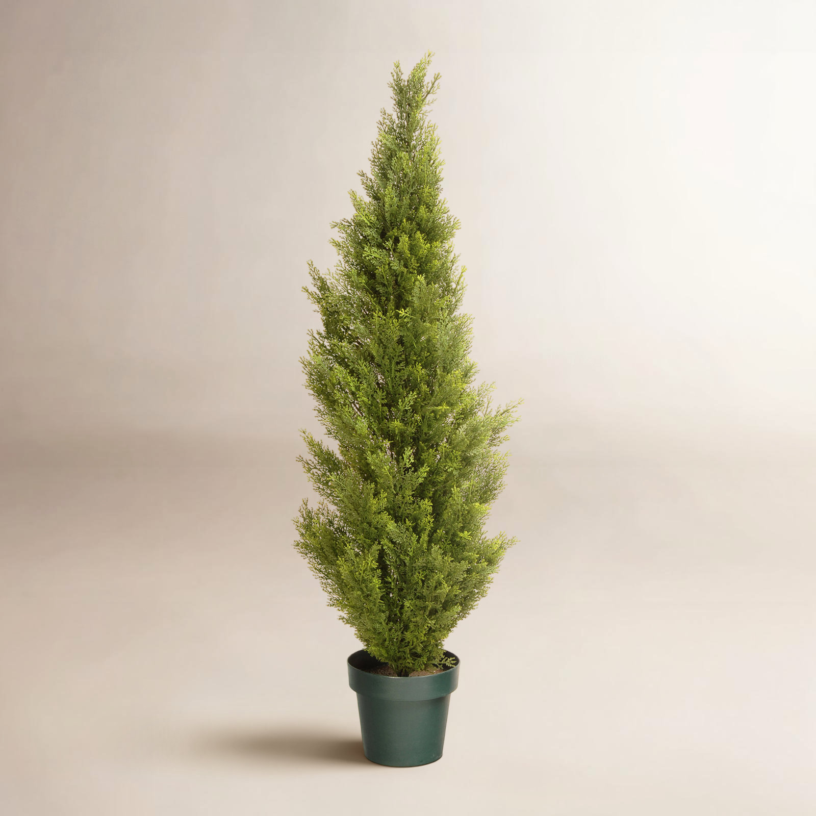 53" Cedar Topiary in Pot