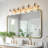 6 - Light Dimmable Vanity Light