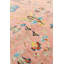 Oriental Area Rug in Salmon
