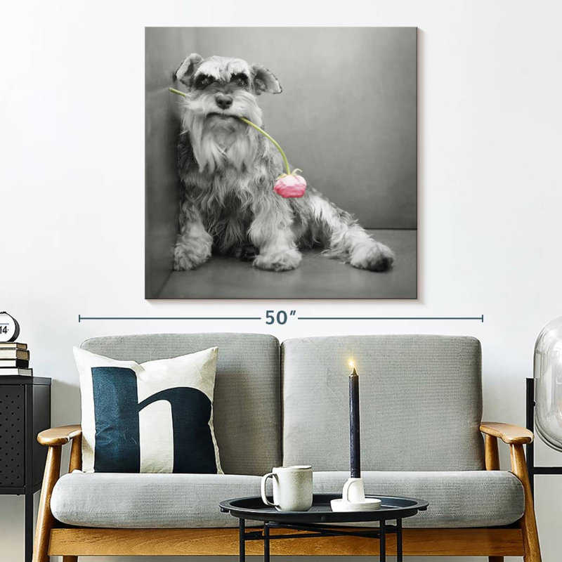 Brampt Ziggy BW, 33" H x 33" W