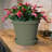 Terra Traditional Plastic Indoor/Outdoor Pot Planter-759313256-759619946