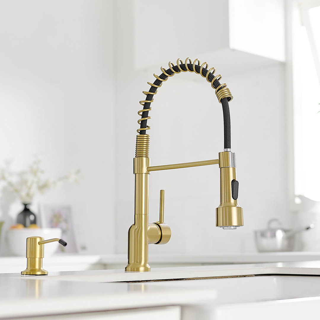 FLG Pull Down Kitchen Faucet FLG