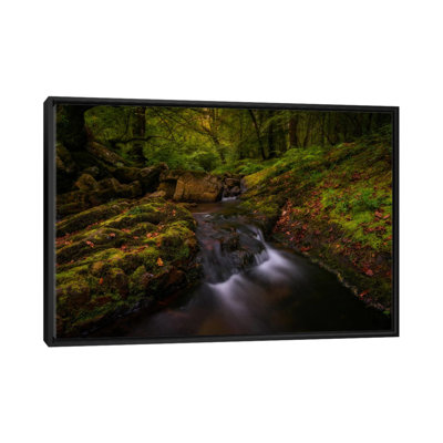 «Forest Treasures», reproduction de photo sur toile