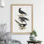 Raven, Crow & Magpie by J.E. De Kay - Framed Print-48194947-48194950