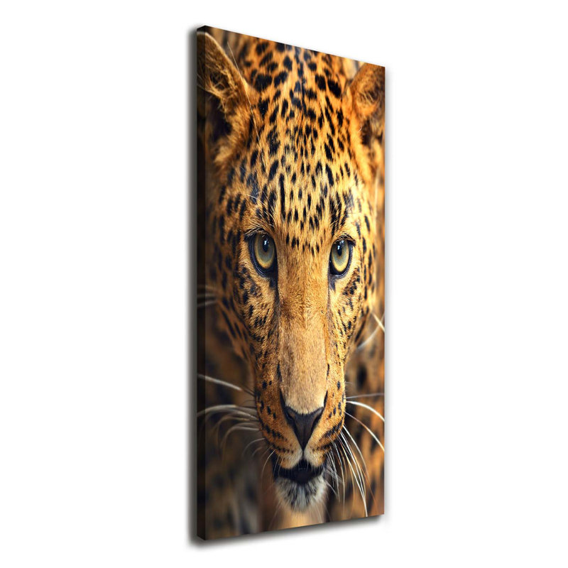 Leopard - Wrapped Canvas Print