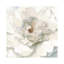 Neutre pivoine par Danhui Nai - impression-53940347-53940326-53940327