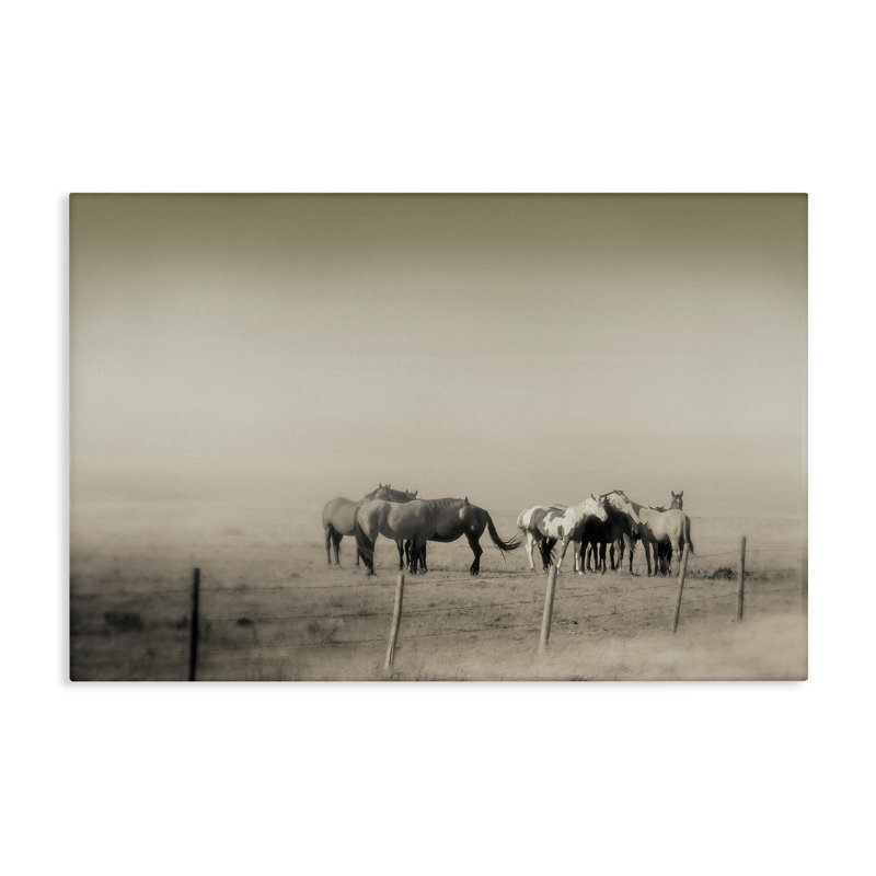 Toile monochrome The Herd, par Roberta Murray, H 20 po x l 30 po