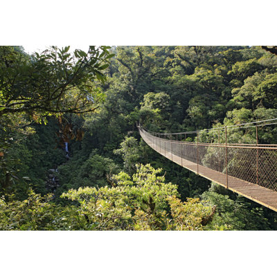 " Canopy Walk " by Andamanse