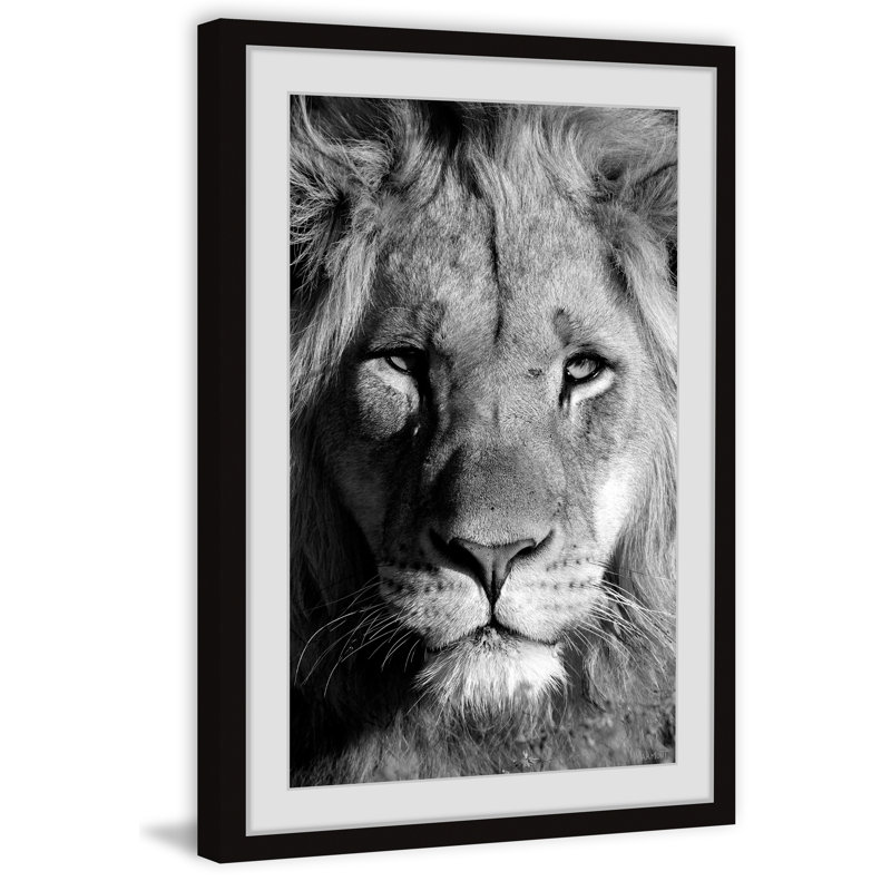 Lion Portrait 1 Piece Painting, 45cm H x 38cm W, Paper