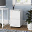 Canesha 39cm W 2-Drawer Office storage unit,Steel Filing Cabinet with 4 Casters-1463634060