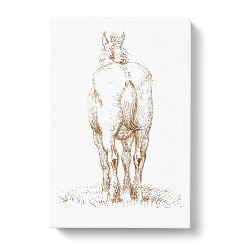 Rear of a Horse by Jean Bernard - Wrapped Canvas Drawing Pint - Wrapped Canvas, 76cm H x 50cm W x 3cm D
