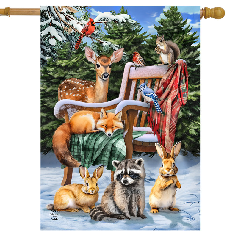 Drapeau de la maison des amis d'hiver