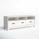 Wrightia 64'' Media Console