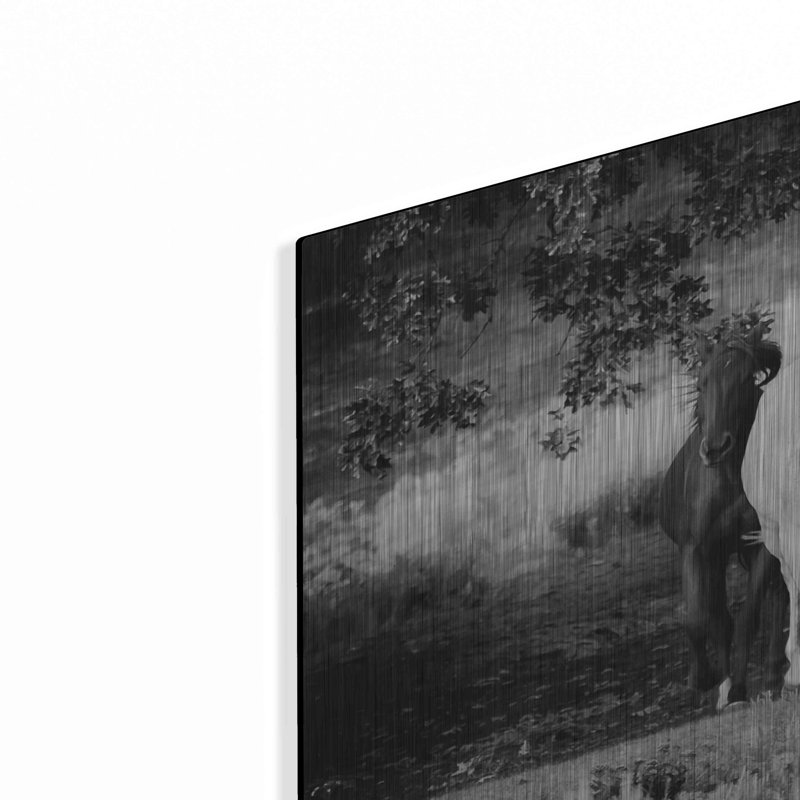 Luxe Three Art Horses BW par Debra Van «Three Wild Horses BW» par Debra Van Swearingen