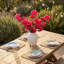 Bougainvillée