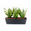 Ensemble de 2 pots de fleurs rectangulaires à arrosage intelligent-132318001