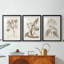 Antique sépia botanicals I - impression encadrée sur mesure de qualité supérieure - 3 pièces-810536289-810536291