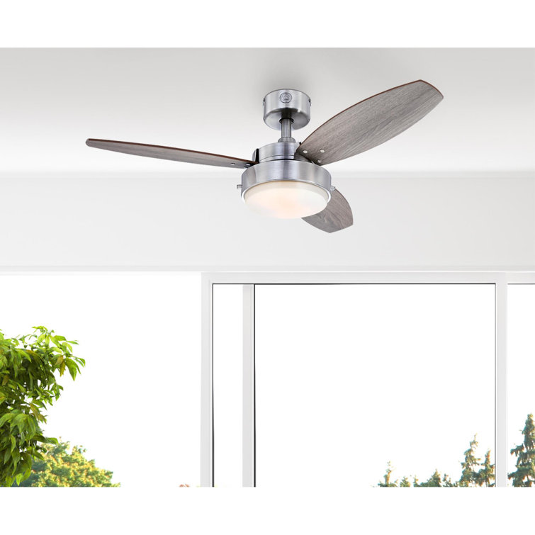 Alloy 42'' Ceiling Fan with Light Kit
