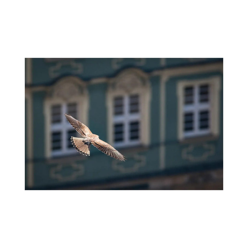 Above The City by Mateusz Piesiak - Wrapped Canvas Print, 20.32 cm H x 30.48 cm W